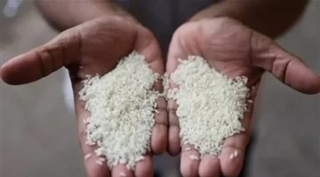 أسعار الأرز والسلع الأساسية تتراجع في الأسواق المصرية الأحد 26 أكتوبر 2025